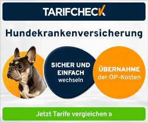 Hundekrankenversicherung vergleichen: Tarifcheck