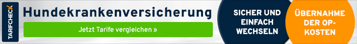 Hundekrankenversicherung vergleichen: Tarifcheck