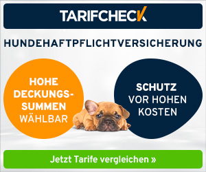 Hundeversicherung vergleichen: Tarifcheck